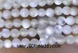 CTG2047 15 inches 2mm,3mm mother of pearl beads