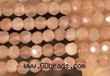 CTG2138 15 inches 2mm,3mm faceted round sunstone gemstone beads