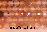 CTG2142 15 inches 2mm,3mm faceted round golden sunstone beads