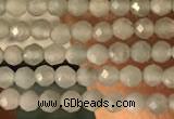 CTG2155 15 inches 2mm,3mm faceted round amazonite gemstone beads