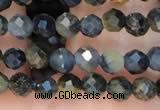 CTG2211 15 inches 2mm,3mm faceted round blue tiger eye beads