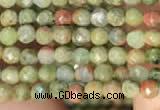 CTG2214 15 inches 2mm,3mm faceted round unakite gemstone beads