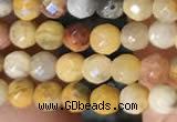 CTG2219 15 inches 2mm,3mm faceted round crazy lace agate beads