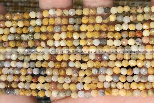 CTG2219 15 inches 2mm,3mm faceted round crazy lace agate beads