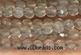 CTG2255 15 inches 2mm faceted round grey agate beads