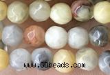 CTG2536 15.5 inches 4mm faceted round crazy lace agate beads