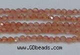 CTG609 15.5 inches 2mm faceted round golden sunstone beads