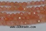 CTG610 15.5 inches 3mm faceted round golden sunstone beads