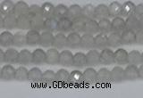 CTG613 15.5 inches 3mm faceted round labradorite beads