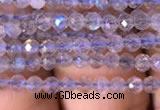 CTG701 15.5 inches 3mm faceted round tiny labradorite beads