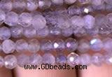 CTG702 15.5 inches 4mm faceted round tiny labradorite beads