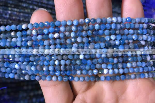 CTG760 15.5 inches 3mm faceted round tiny apatite gemstone beads