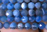 CTG761 15.5 inches 4mm faceted round tiny apatite gemstone beads