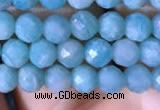 CTG767 15.5 inches 5mm faceted round tiny amazonite gemstone beads