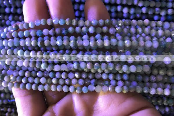 CTG776 15.5 inches 4mm faceted round tiny amazonite beads wholesale