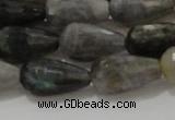 CTR120 15.5 inches 10*20mm faceted teardrop labradorite beads