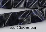 CTW355 15.5 inches 16*16mm twisted square sodalite gemstone beads