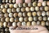 CWJ593 15.5 inches 10mm round wood jasper beads wholesale