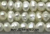 FWP07 14.5 inches 2mm - 3mm potato white freshwater pearl strands