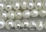 FWP16 14.5 inches 3.2mm - 3.7mm potato white freshwater pearl strands