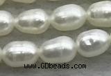 FWP167 14.5 inches 4mm - 5mm rice white freshwater pearl strands