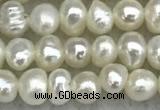 FWP17 14.5 inches 3.2mm - 3.7mm potato white freshwater pearl strands