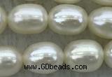 FWP182 15 inches 6mm - 7mm rice white freshwater pearl strands