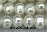 FWP19 14.5 inches 3mm - 4mm potato white freshwater pearl strands