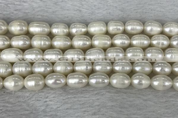 FWP201 15 inches 8mm - 9mm rice white freshwater pearl strands