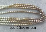 FWP210 15 inches 6mm - 7mm rice mixed color freshwater pearl strands