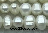 FWP28 14.5 inches 4.8mm potato white freshwater pearl strands