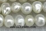 FWP30 14.5 inches 4.5mm potato white freshwater pearl strands