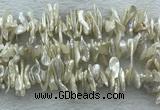 FWP420 15 inches 5*15mm - 8*24mm biwa freshwater pearl beads