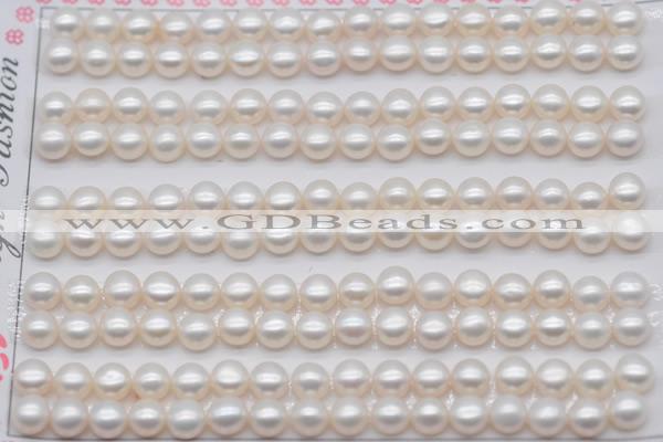 FWP454 half-drilled 5-5.5mm bread freshwater pearl beads