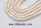 FWP480 14 inches 5mm - 6mm potato white freshwater pearl strands