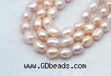 FWP502 14 inches 10mm - 11mm baroque lavender freshwater pearl strands