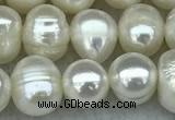 FWP55 15 inches 6mm - 7mm potato white freshwater pearl strands