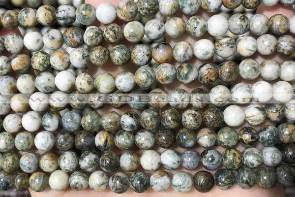 JASP20 15 inches 6mm green dragon quartzite beads