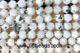 MIXE102 15 inches 10mm faceted white moonstone gemstone beads