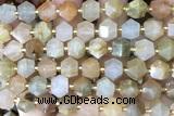 MIXE108 15 inches 10mm faceted jasper gemstone beads