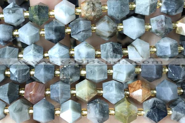 MIXE113 15 inches 10mm faceted eagle eye jasper gemstone beads