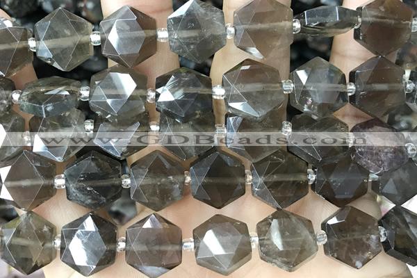 MIXE147 15 inches 12mm faceted hexagon smoky quartz beads