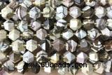 MIXE72 15 inches 10mm faceted Australian zebra jasper beads