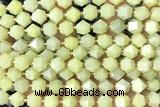 MIXE78 15 inches 10mm faceted jade gemstone beads