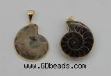 NGP4069 25*30mm – 30*35mm carved ammonite pendants wholesale