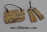 NGP7278 10*25mm - 25*45mm freeform picture jasper pendants sets