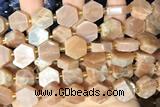 NUGG126 15 inches 14mm hexagon moonstone gemstone beads