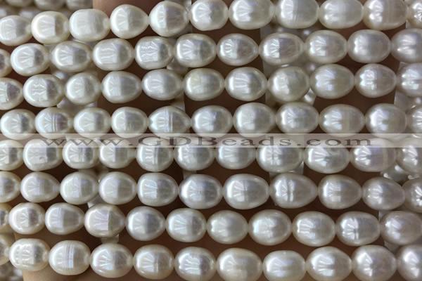 PEAR23 14 inches 7mm – 8mm white freshwater pearl beads